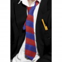 Cravate écolier rouge et bleu