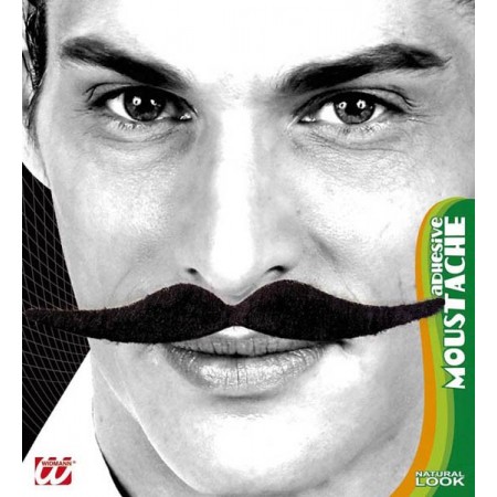 Moustaches Salvador Dali adhésives